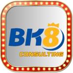 bk8 consulting Profile Picture