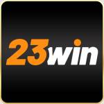 23winz net Profile Picture