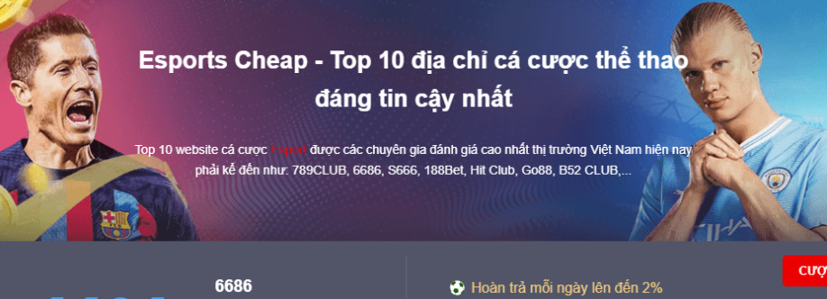 Esports Cheap Cover Image