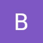 Bhartiya Aviation services Profile Picture