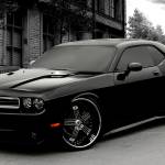 hbjs\ csfdd Profile Picture