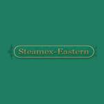 Steamex Eastern of Toledo profile picture