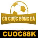 info cacuocbongda Profile Picture