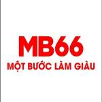 MB66 doctor Profile Picture