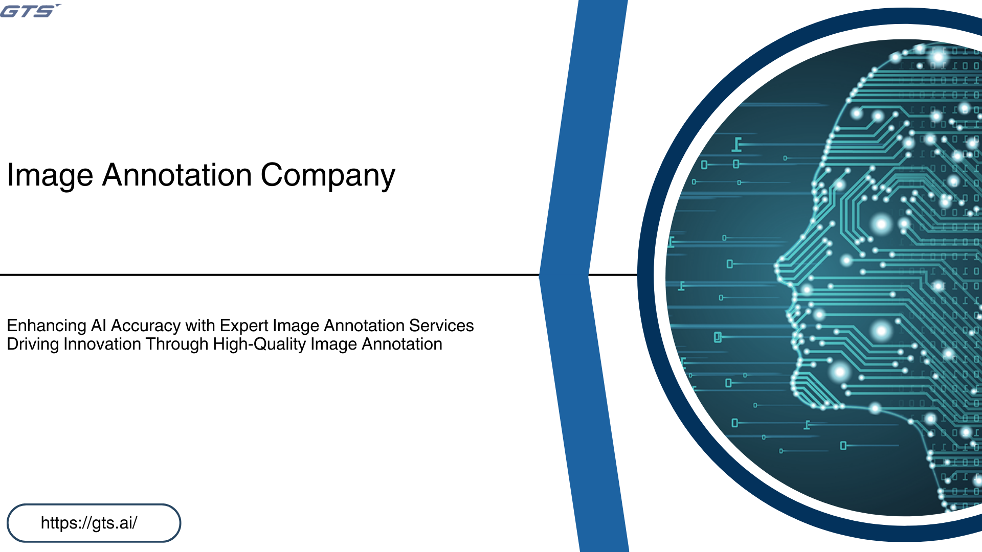Boost Your AI Model Accuracy with Expert Image Annotation Services – Site Title