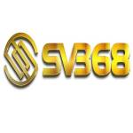 SV368 foundation Profile Picture
