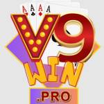 v9win pro Profile Picture