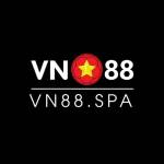 VN 88 profile picture