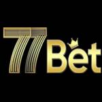 77BET Casino Profile Picture