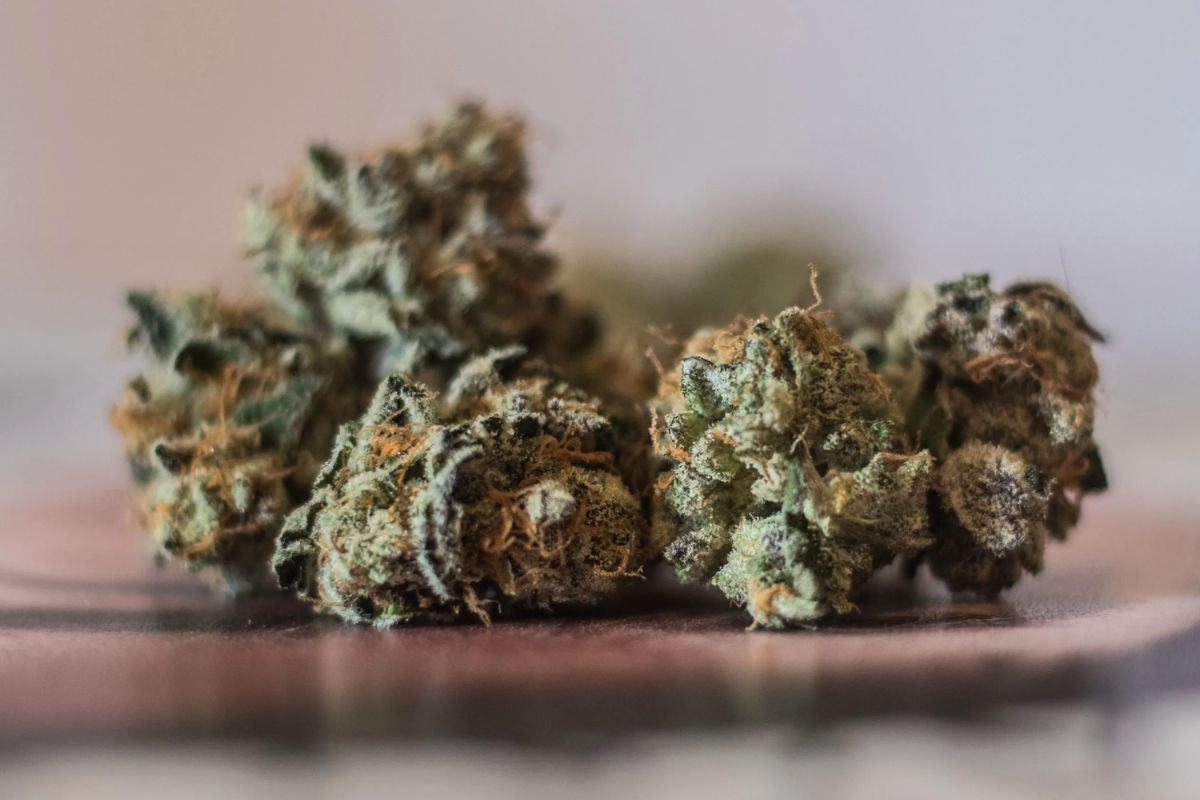 Buying Weed Online In Canada is Better Than Retail Stores