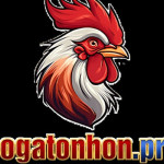 Bồ gàTonhon Profile Picture