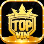 TOPVIN it com Profile Picture