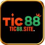 tic88site Profile Picture