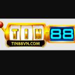 Tin 88 profile picture