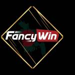 fancywin tech Profile Picture