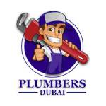 Best Plumbing Service Dubai Profile Picture