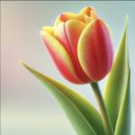 blackpetals Profile Picture