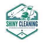 Shiny Cleaning Profile Picture