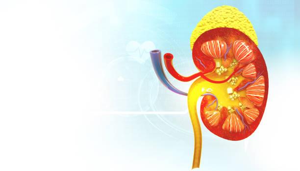 Top Kidney Stone Specialist in Salem for Effective Treatment at...