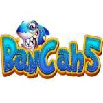 Bancah5 Profile Picture