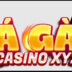 ĐÁ GÀ CASINO XYZ Profile Picture