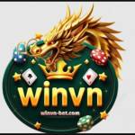 Nhà cái Winvn Profile Picture