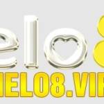 Demo Website Profile Picture