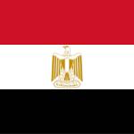 Egyption Government Visa Profile Picture
