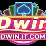 DWINBet Profile Picture