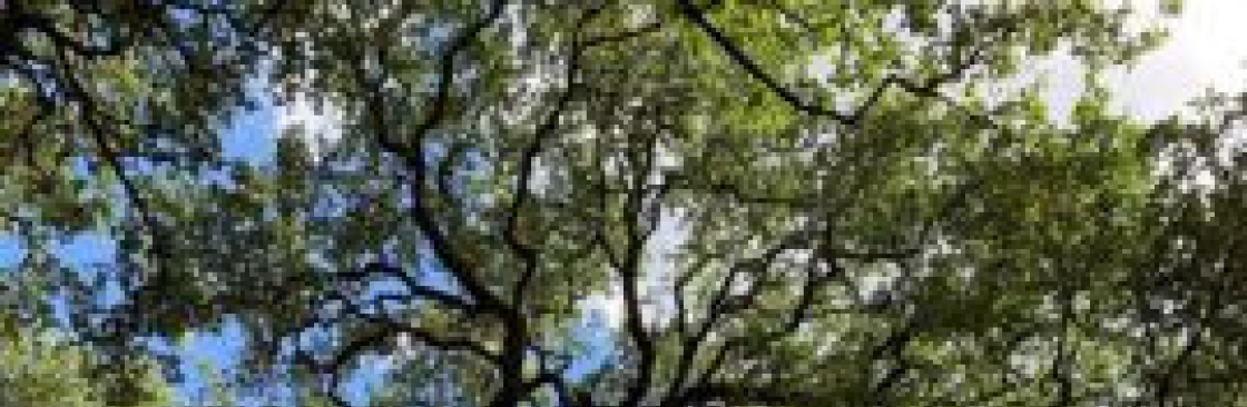 Tree Amigos Tree Service Cover Image