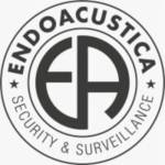 Endoacustica Europe profile picture