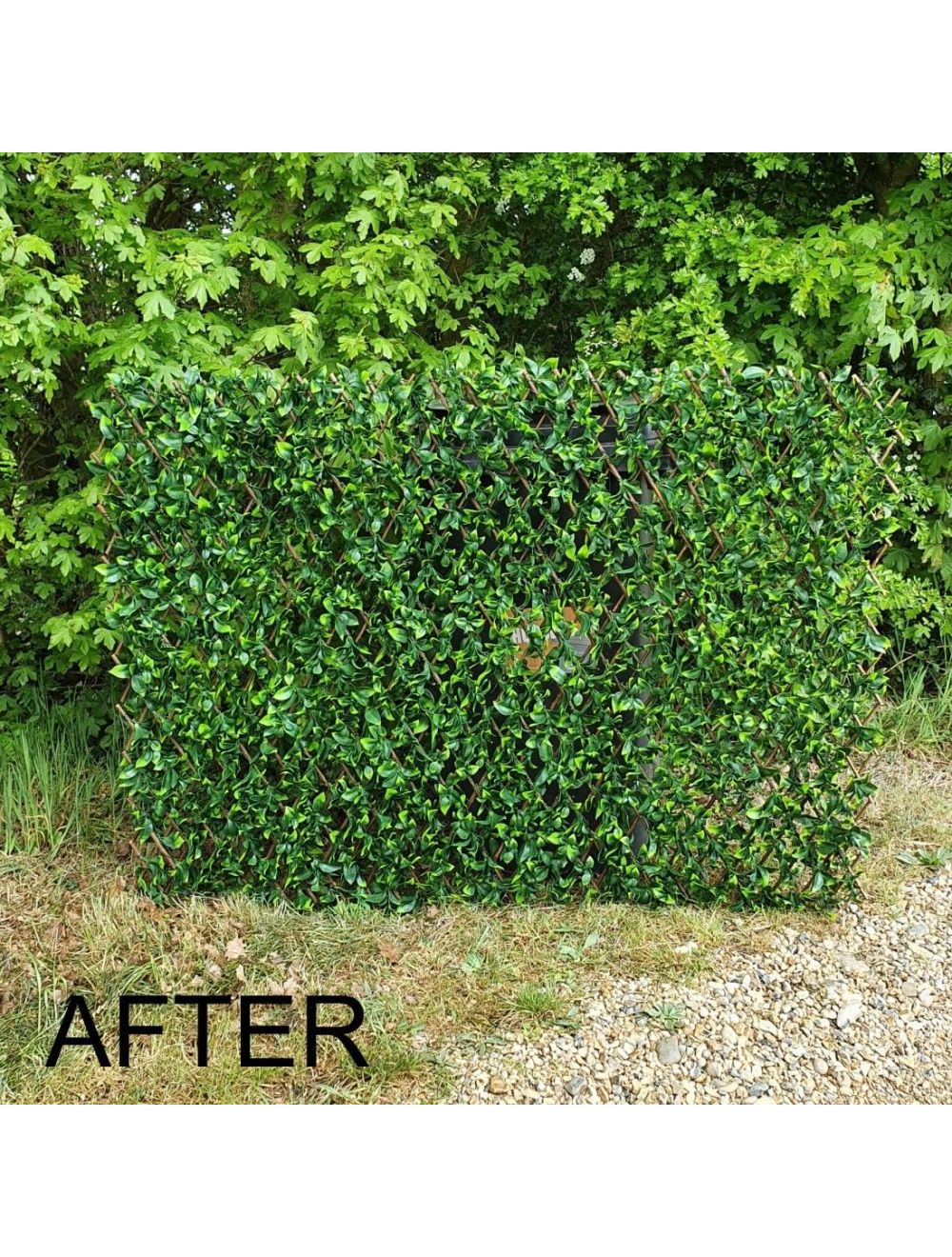 Realistic Variegated Laurel Expanding Willow Trellis Screening - Netting Store