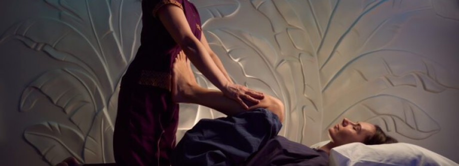 nikki roy Cover Image