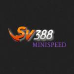 SV388 minispeed Profile Picture