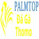dagapalmtop Profile Picture