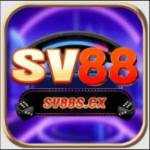 SV88 Profile Picture