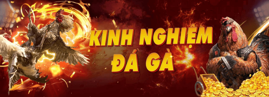 Trang Đá Gà Uy Tín Cover Image