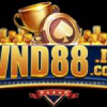 VND88Casino profile picture