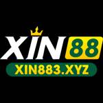 XIN883 XYZ Profile Picture