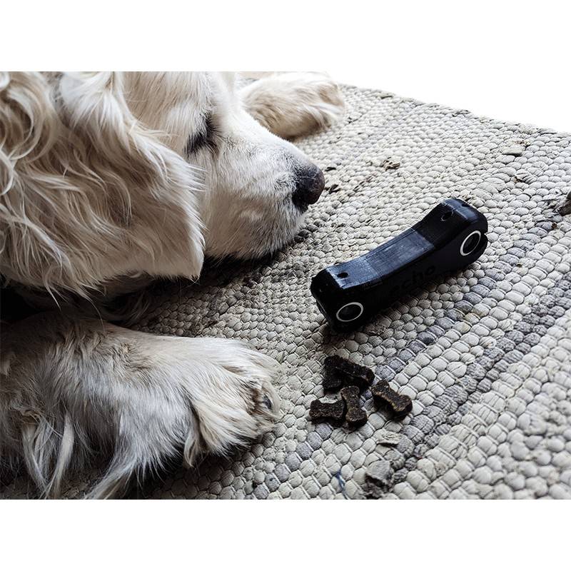 Echo-Blinddog: Mehr Freiheit für Ihren Blinder Hund