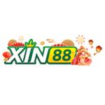 Xin88 Profile Picture