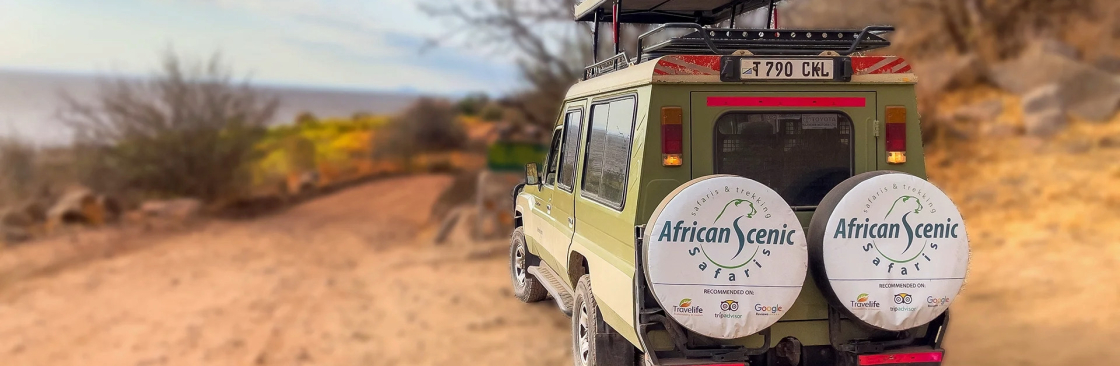 African Scenic Safaris Cover Image