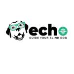 echoblinddog Profile Picture