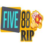 five88 Profile Picture