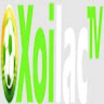 xoilactvnvn cc Profile Picture