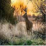 canadalandco Profile Picture