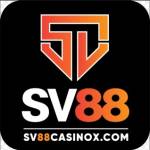 sv88casinox com Profile Picture