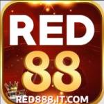 red888 it com Profile Picture