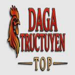 dagatructuyentop2025 Profile Picture