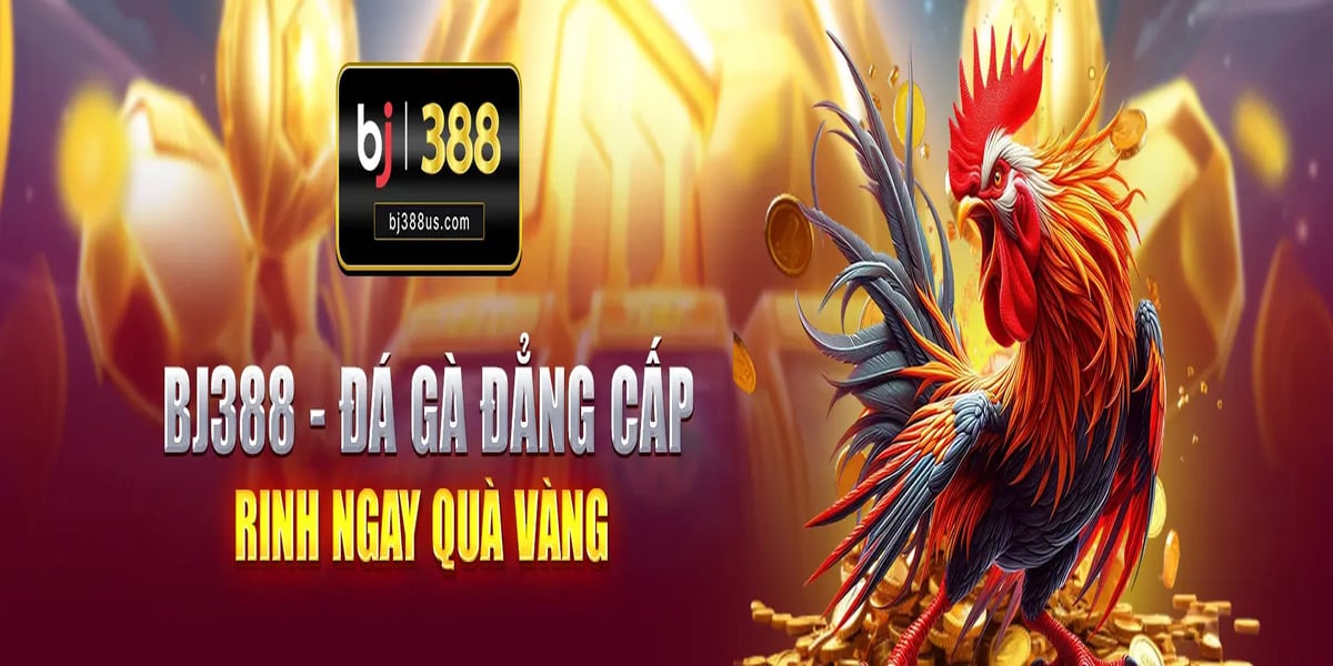 bj388uscom Cover Image